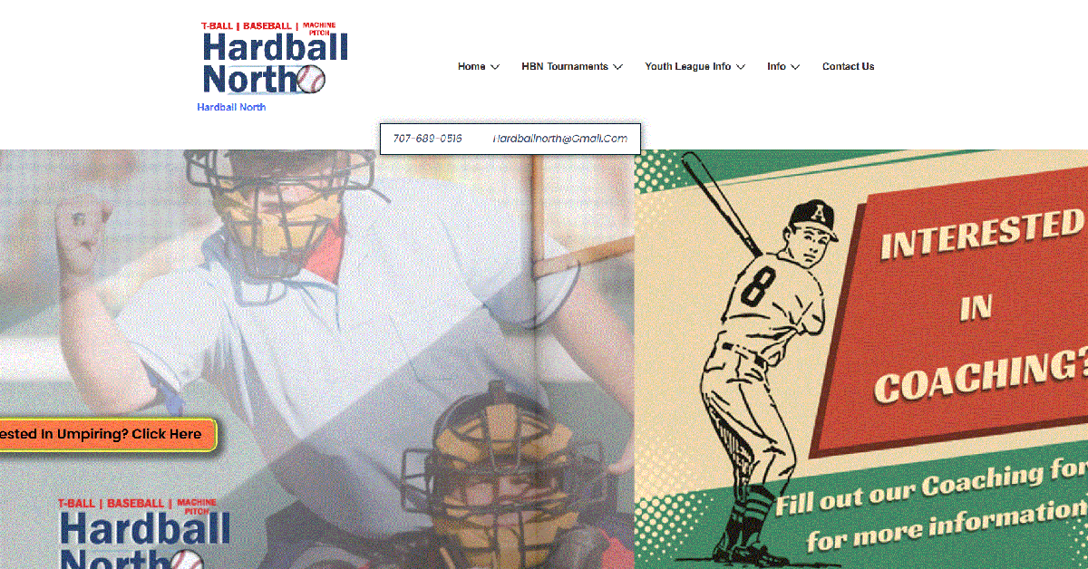 HardBall North, web design
